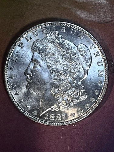 1887 P  Morgan Dollar GEM BU ,WHITE BLAZING LUSTER (8) start $.99