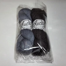Plucky Knitter Primo Aran Yarn Color One Hit Wonder (Blue, Purple)  2 Skeins