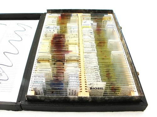 Boxed Set of 100 Vintage Microscope Slides. Professional Preparers.