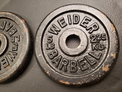 LUXTRI Jeu Haltères 15 kg Plaques de poids Fonte Entrainement