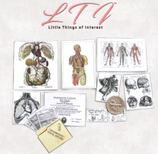 Miniature MEDICAL OFFICE DOCUMENTS 1:12 Scale DOCTOR NURSE ANATOMY 13 Pc