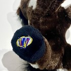 Foto 5 di 10