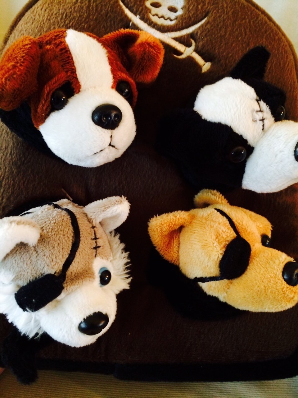 Рюкзак для животных с изображением пиратской собаки 11 от Unipak