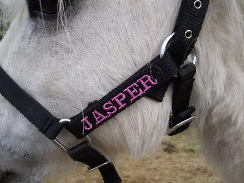 Personalised horse head collar top