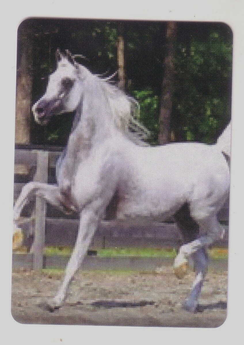 Foto 1 di 1