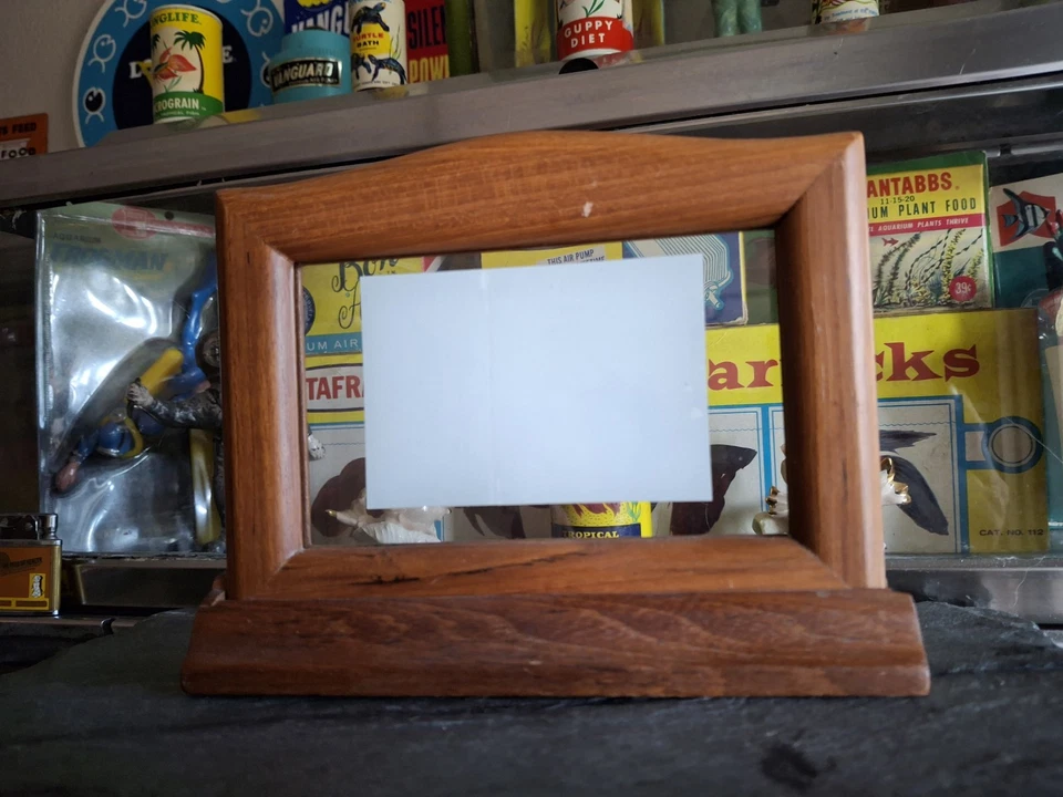 Adhesivo publicitario de alimentos para peces Tetramin vintage de acuario de los años 80 enmarcado sobremesa  Foto 3 de 4