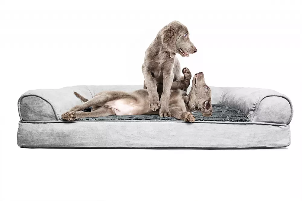 Xxl dog beds deals for great danes