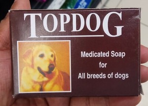 dogs and soap