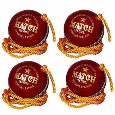 Tima Leather Cricket Shot Practice Hanging Ball, String Cricket Ball us