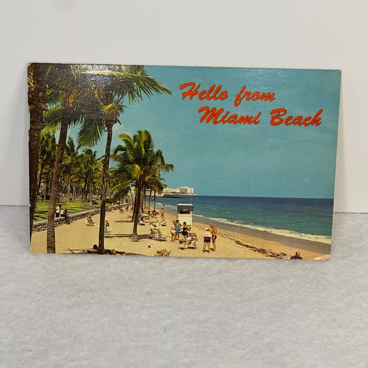 Postcard - Hello from Miami Beach, Florida