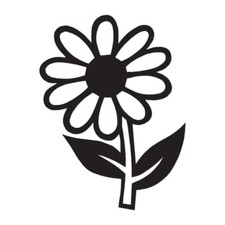 Daisy Dandelion Flower - Decal Sticker - Multiple Color  Sizes - ebn840