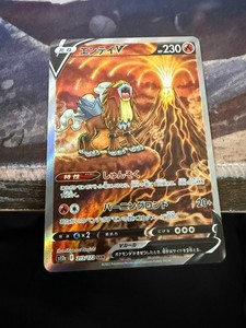 Entei V Star Universe | eBay