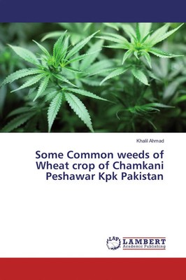 Some Common weeds of Wheat crop of Chamkani Peshawar Kpk Pakistan Khalil Ahmad