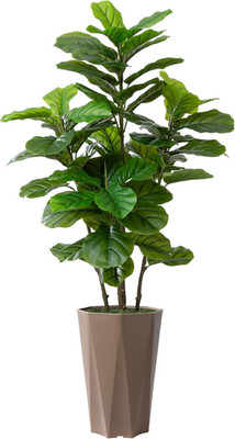 5FT Artificial Fiddle Leaf Fig Tree in Mocha Planter - Indoor Decor