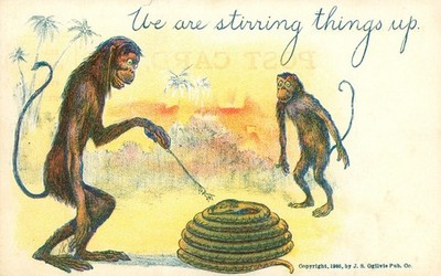 Monkeys and Snake Animal Postcard Antique 1905 'We are Stirring things up'  N
