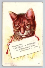 Caffrey Brooks Cook Parlor Stoves Tin Copper Tabby Cat Providence RI P152