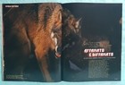 Foto 9 di 10