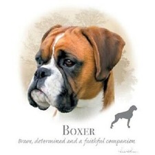 Boxer  New Dog Profile Sweatshirt/Longsleeved tshirt  Sizes/Colors