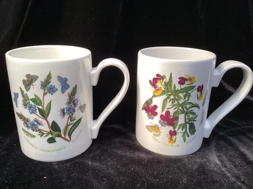 (PAIR) Portmeirion (1972 stamp) BOTANIC GARDEN 4 1/4" Coffee Cup Mugs ~EXCELLENT