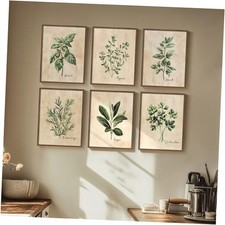 Framed Sage Green Botanical Wall Art 11" W x 14" H x 6Pcs Herbs - Walnut Framed