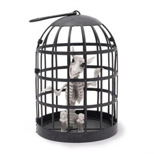 Statuette Enclosed Skeleton Vertical Upright Rods Round Base