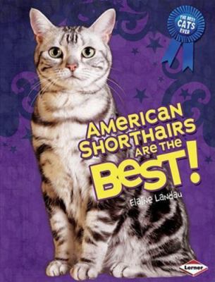 American Shorthairs Are the Best! (The Best Cats Ever)  library Used - Very Goo