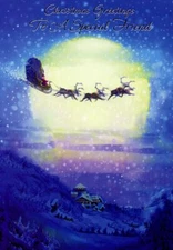 Christmas Greetings To A Special Friend - 20726