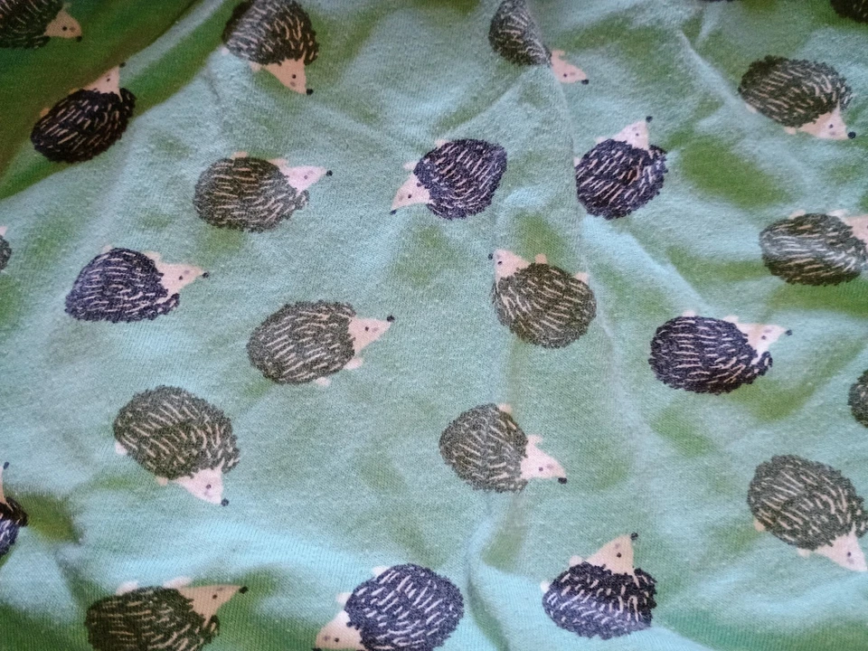 Pantalones cortos boxer para dormir Joe para mujer 3X estampado de puercoespines fondo verde menta algodón Foto 4 de 4