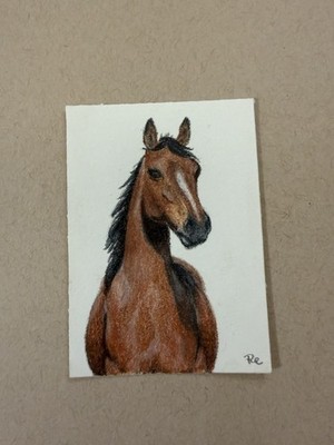 ACEO Art Card Original Bay Horse Colored Pencil Drawing Miniature Signed OOAK