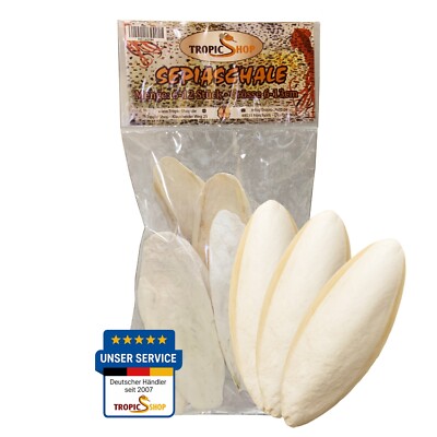 Sepiaschale Kalziumquelle 6-10 Stück ca. 100g Schildkröten, Bartagamen, Vögel