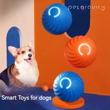 Viral Bouncing Ball for Dogs Chewy Interactive Dog Toy Long Lasting USB Recharge