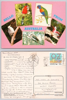 c29688 Heimische Vögel Australien Postkarte 1990 Briefmarke