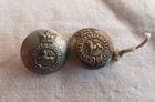 Pre Federation Tasmanian Local Forces buttons x 2. English made.