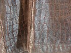 Bild 6 von 6