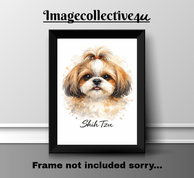SHIH TZU HUND HAUSTIER A4 DRUCK BILD POSTER WANDBILD WOHNDEKO UNGERAHMT NEU GESCHENK