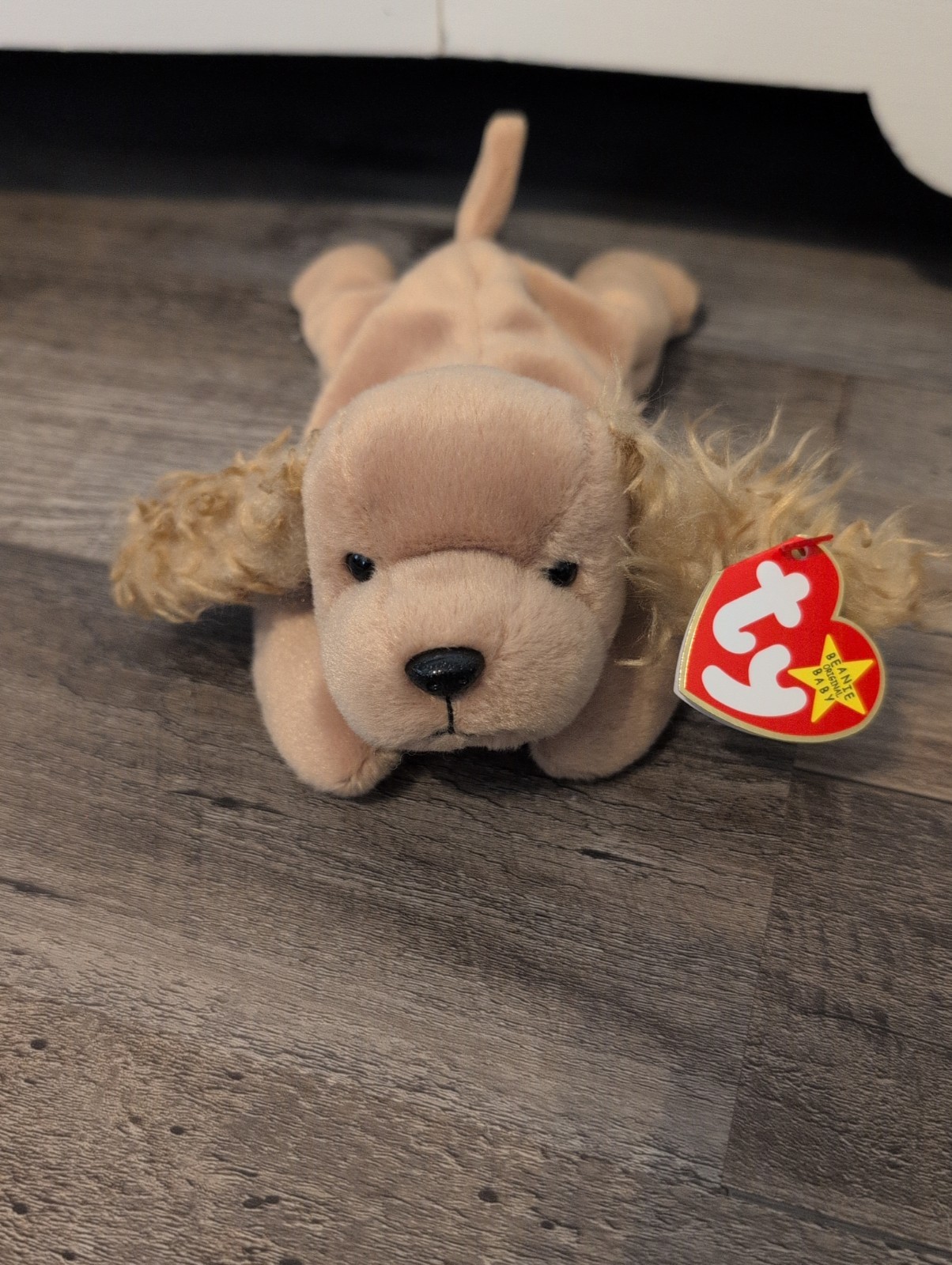 TY Beanie Baby Retired Spunky The Cocker Spaniel Dog 1997 With Tags