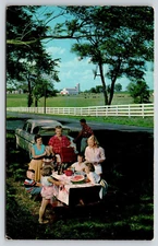 Kentucky Scenic Highway Rest Stop Area Family Picnic Scene Postcard UNP Farm