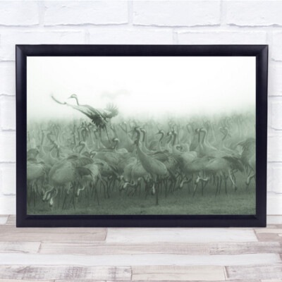 I'M The Boss Großer Vogelschwarm ein fliegender Wandkunstdruck