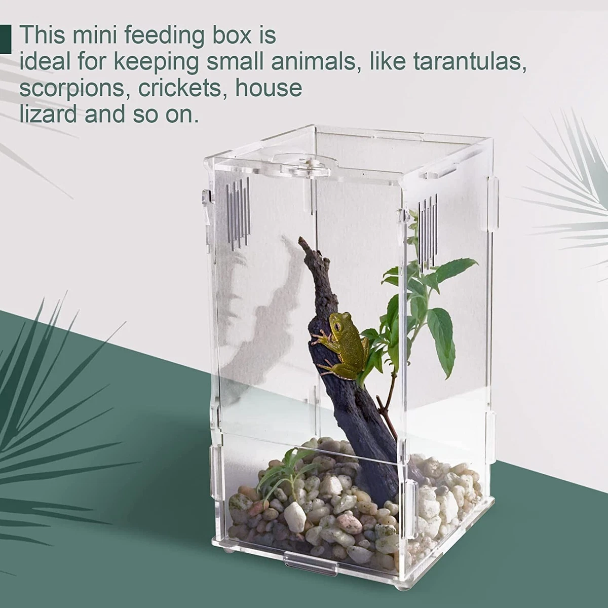 Mini reptile shop terrarium