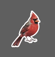 Cardinal Sticker Waterproof Decal Bird Animal Outdoor Wildlife Nature Gift NEW