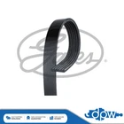 Gates V-Ribbed Belts Fits Vauxhall Insignia (2008-2017) 55578486 1340027 5557848