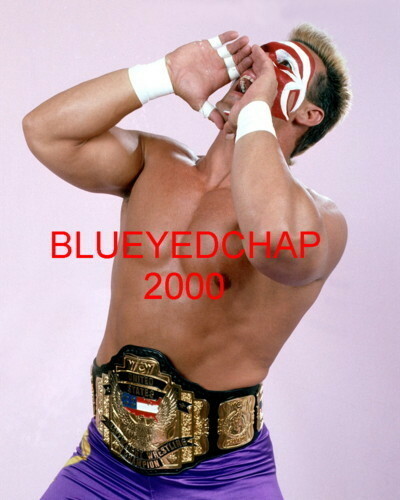 スティング　STING プロレス　WCW時代　輸入版　WWE スティング STING プロレス WCW時代 輸入版 WWE スティング