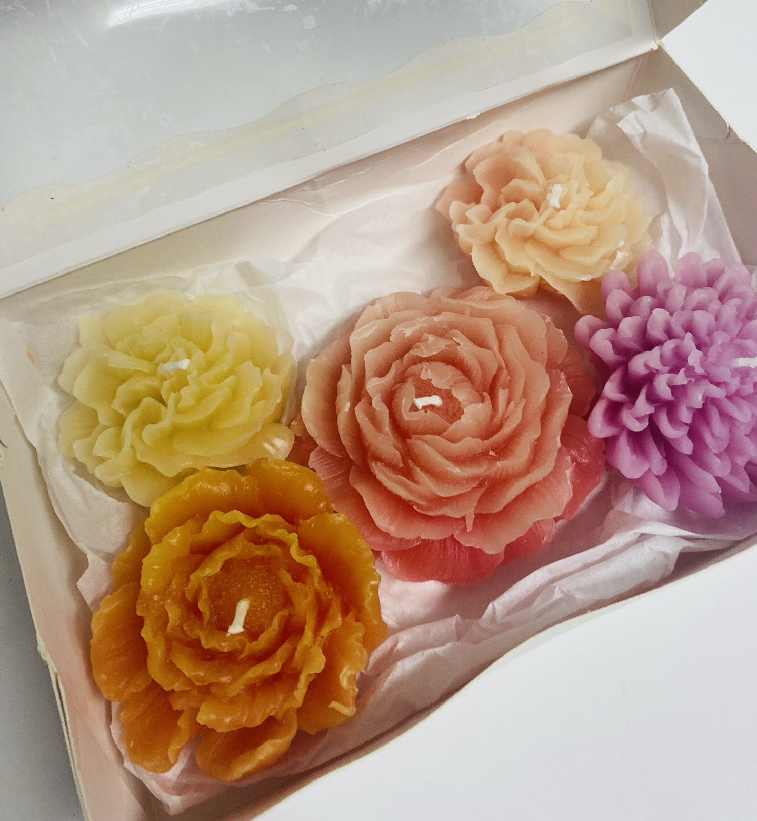 Set Of 5 🆕 In Box, Maple+love