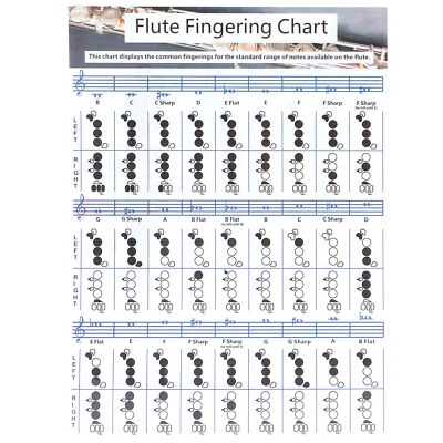 Flute Fingering Chord Chart Beginner Practice Aids Instrument Acces 28x21cm S