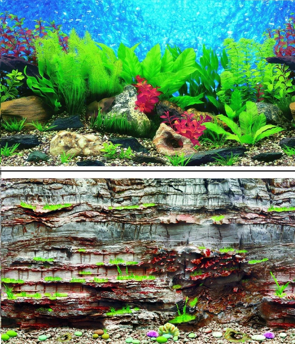 Aquarium Fish Tank Background 2 Sides + Adhesive - 80cm High 2 to 10 FT  Lengths