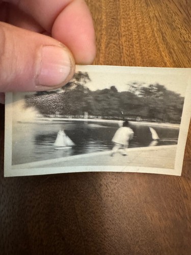 Vintage 1920s Travel Photos Japan France Notre Dame Pont du Gard Estate Lot - Picture 15 of 24