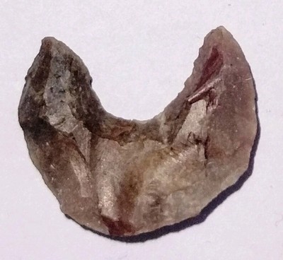 Neolithic Native American Hook Artifact