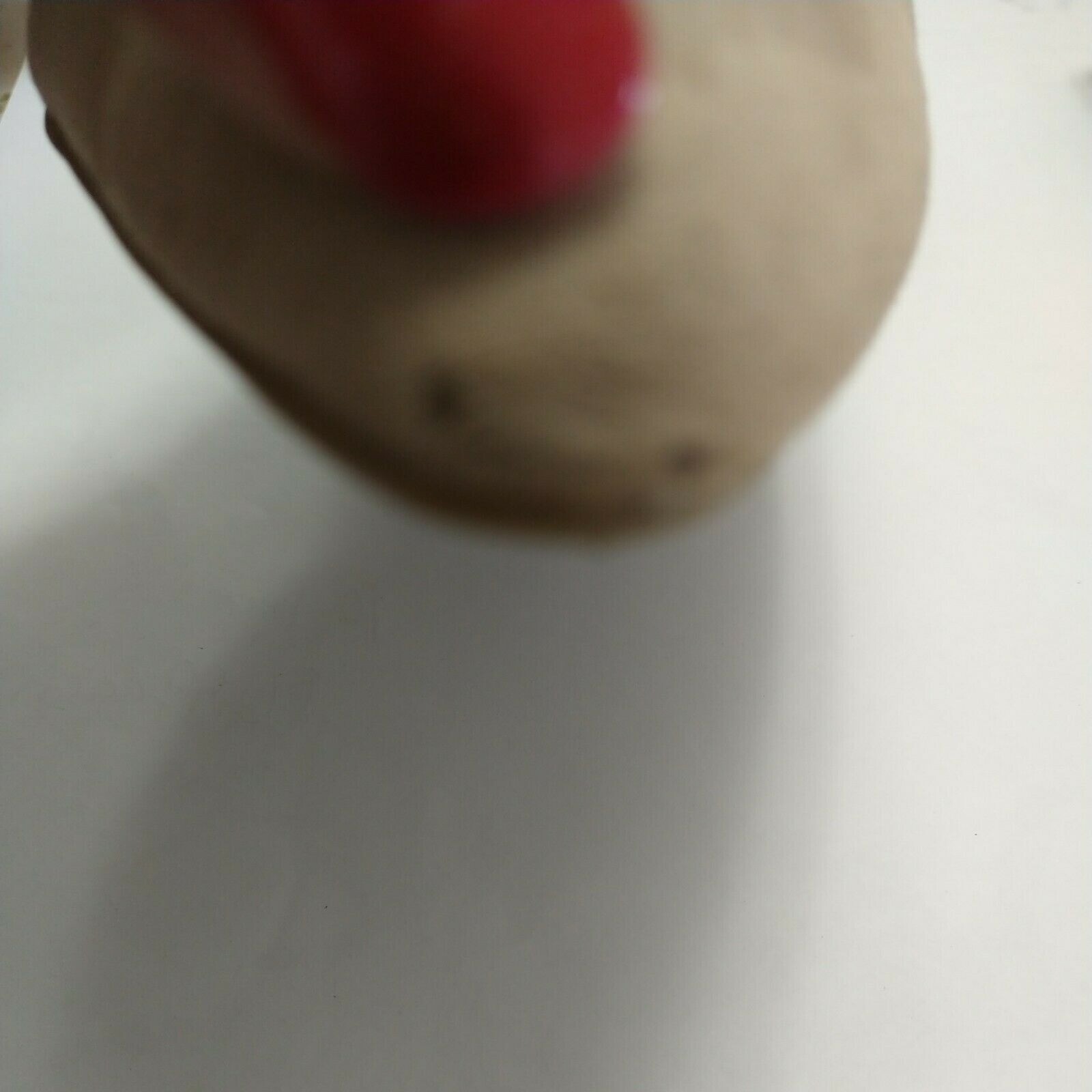 Picture 12 of 12