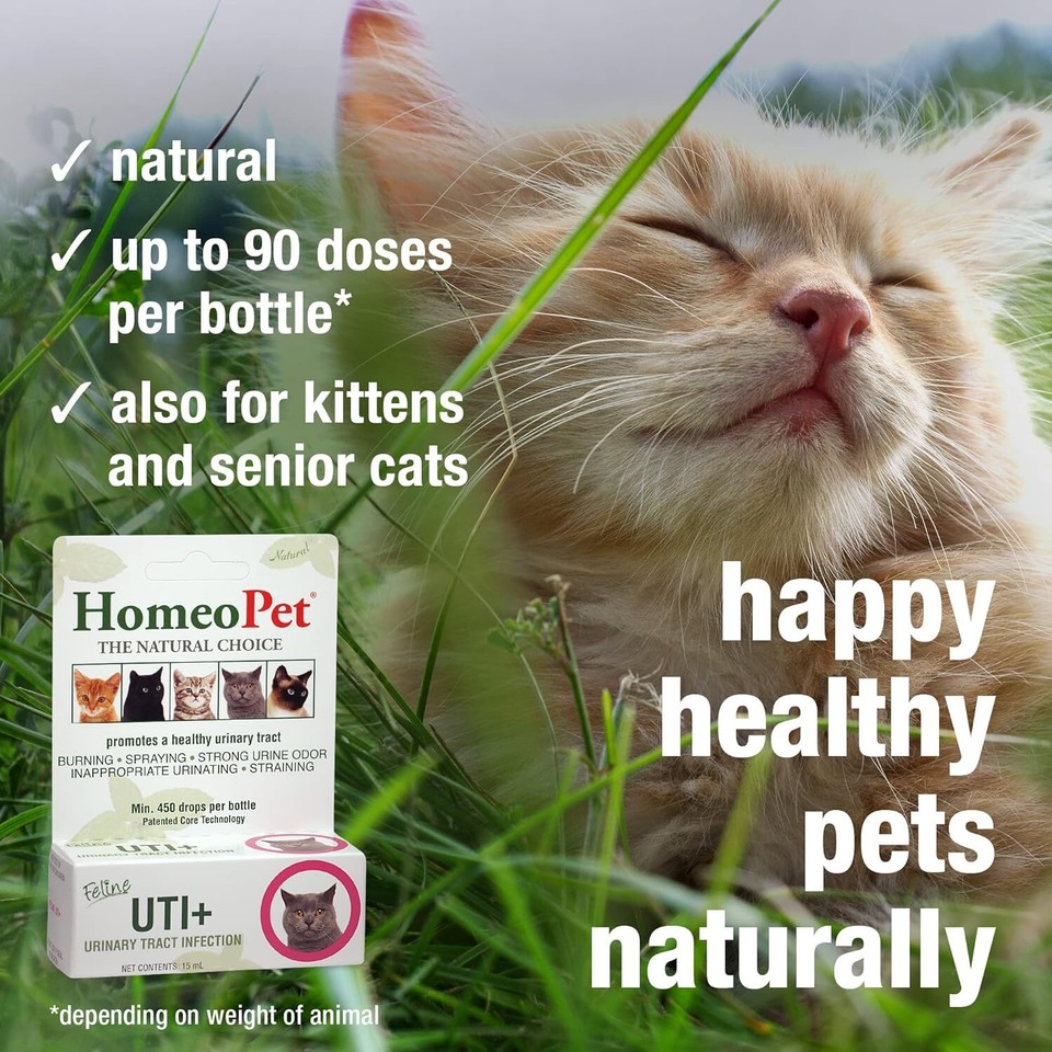 HomeoPet Feline UTI Plus UrinaryTract Relief, UrinaryTract Support