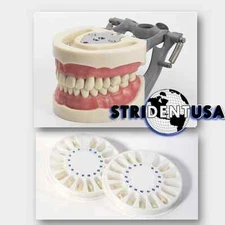 DENTAL TYPODONT OM 200 TEACHING MODEL WITH EXTRA SET OF TEETH (64 TOTAL TEETH)